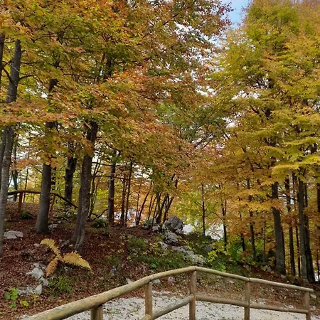 Appartement Residenze Ca Del Bosco *